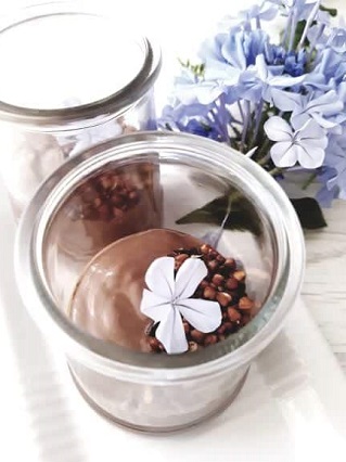 creme-dessert-chocolat-vegan-sans-creme
