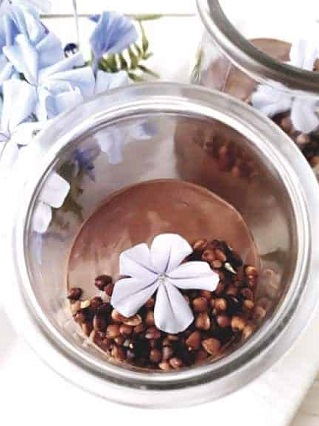creme-dessert-chocolat-vegan-sans-gluten