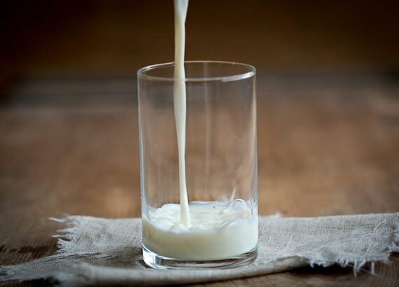 fabriquer soi-même son lait d'amande excellente alternative au lait de vache