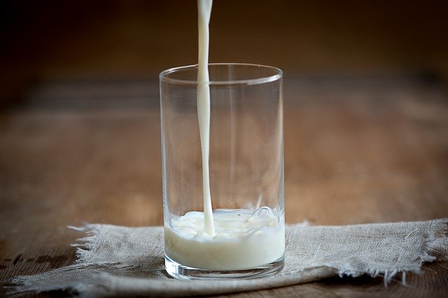 Par quoi remplacer le lait de vache ?