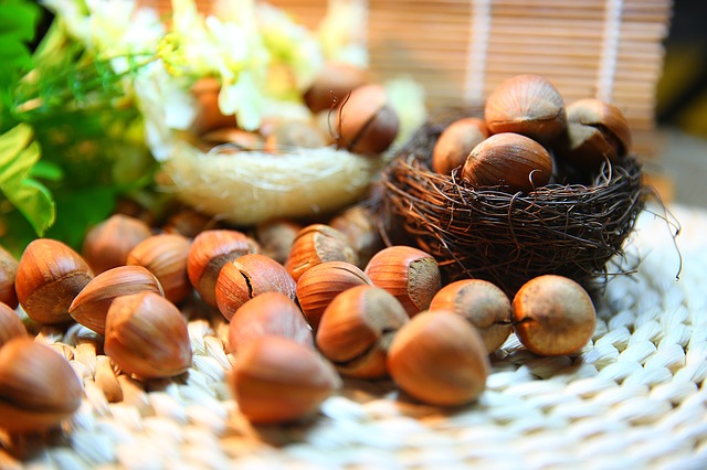 lait de noisette sa texture est l'idéale pour les gâteaux sans lactose