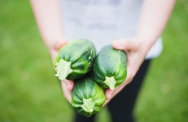 courgette-pour-remplacer-beurre