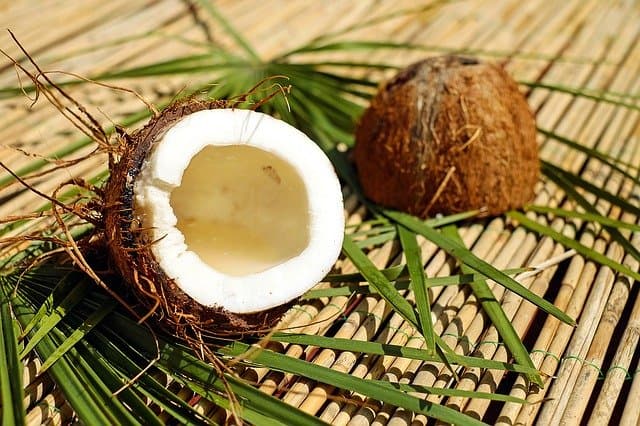 Farine de coco : très riche en fibres et en protéines
