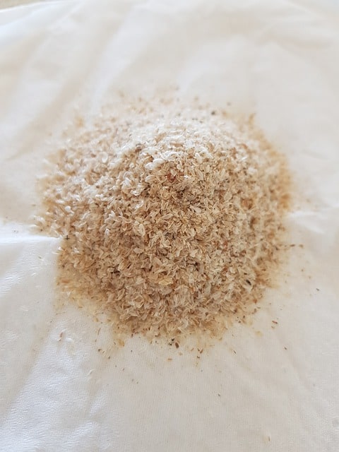 Psyllium blond : l’idéal pour faire lever la pâte sans gluten